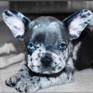 Meet your Posher, Shawn